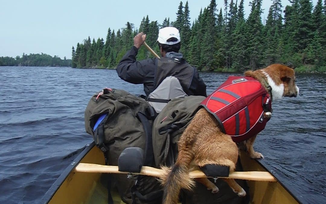 What a Canoe Trip Taught Me About Life and Making Progress